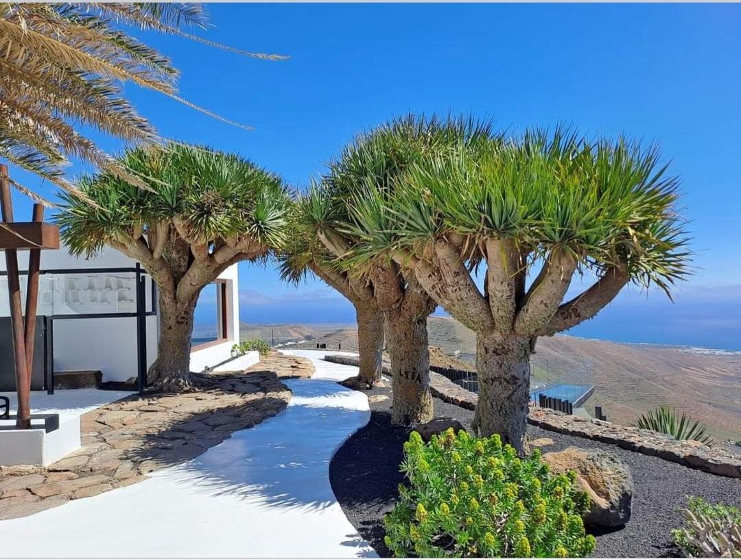 Casa La Tunera, Country House, Haria, Lanzarote Kültér fotó