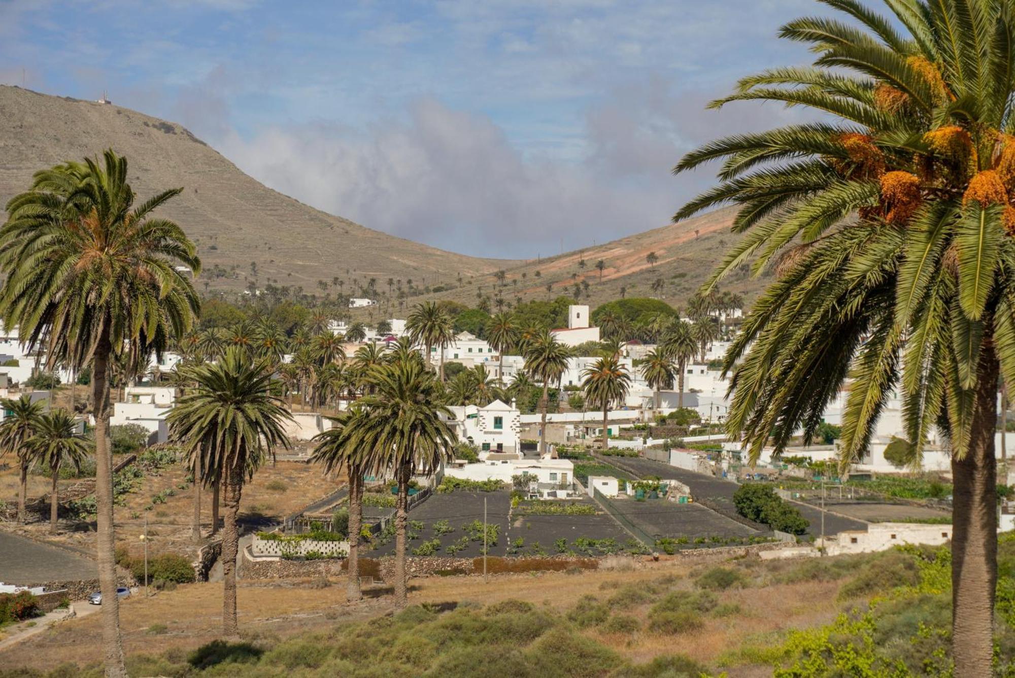 Casa La Tunera, Country House, Haria, Lanzarote Kültér fotó